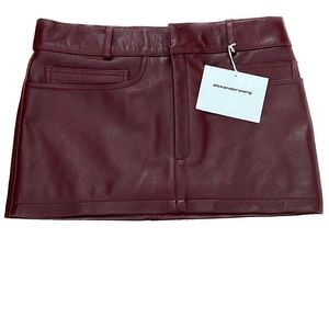 alexander wang leather moto mini skirt